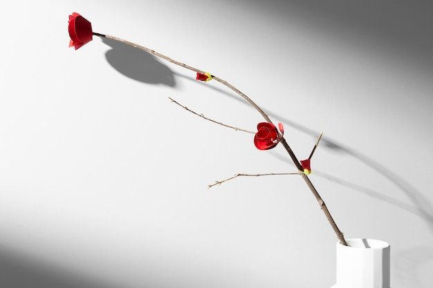 A Dozen Simple Steps to Transform Your Home into a Minimalist Haven