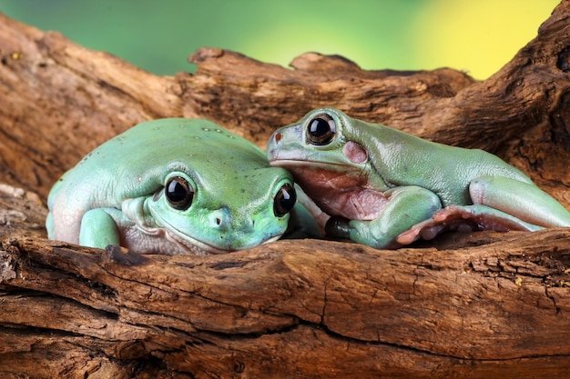 STEP 11: FOCUS ON WHAT MATTERS MOST