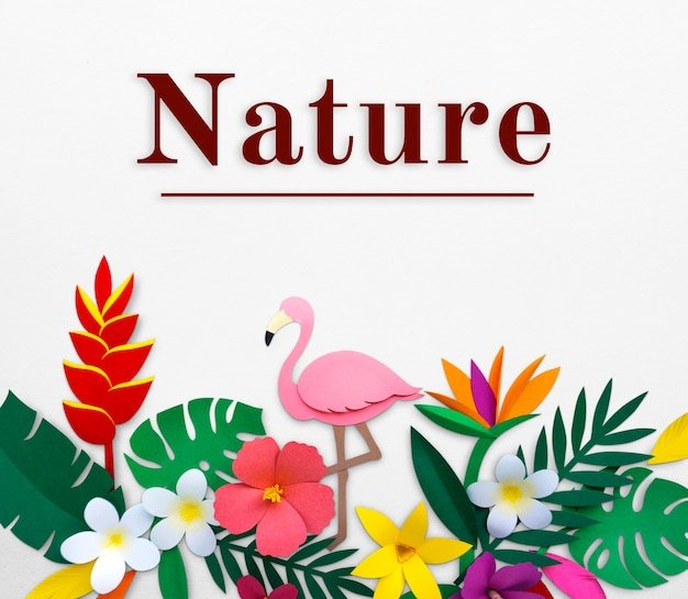 Ten Unusual Routines I’ve Adopted While Residing in the Tropics